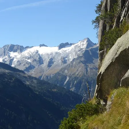 Zillertal - Schwemberger * Fügen